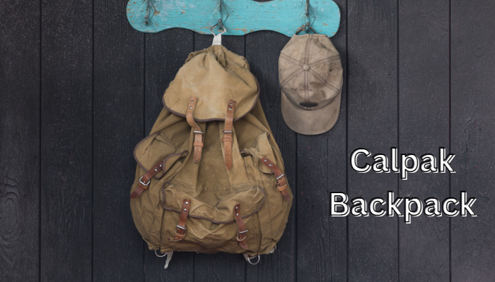 Calpak Backpack